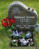 Oddmund Svanem