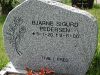 Bjarne Sigurd Pedersen 